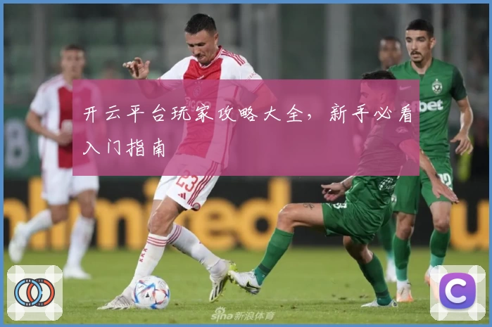 开云平台玩家攻略大全，新手必看入门指南