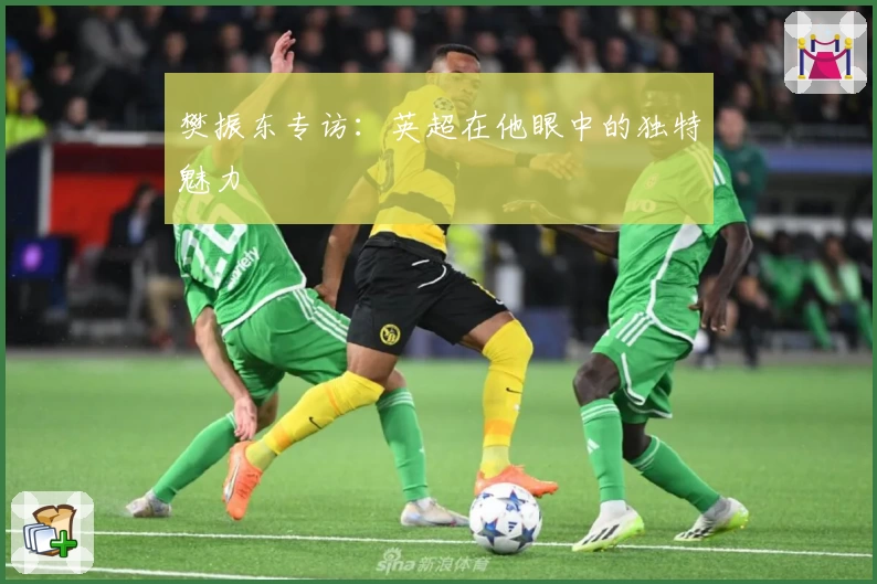 樊振东专访：英超在他眼中的独特魅力