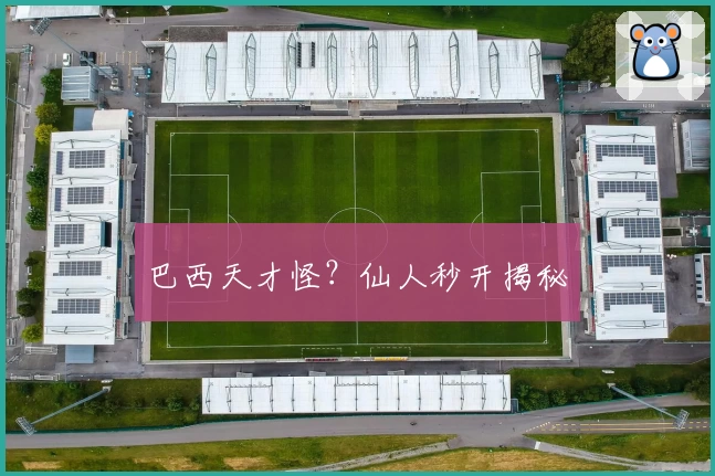 巴西天才怪？仙人秒开揭秘