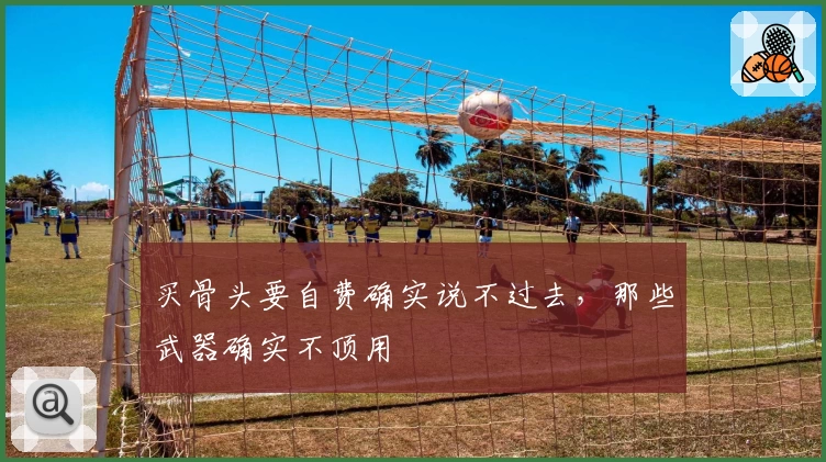 买骨头要自费确实说不过去，那些武器确实不顶用