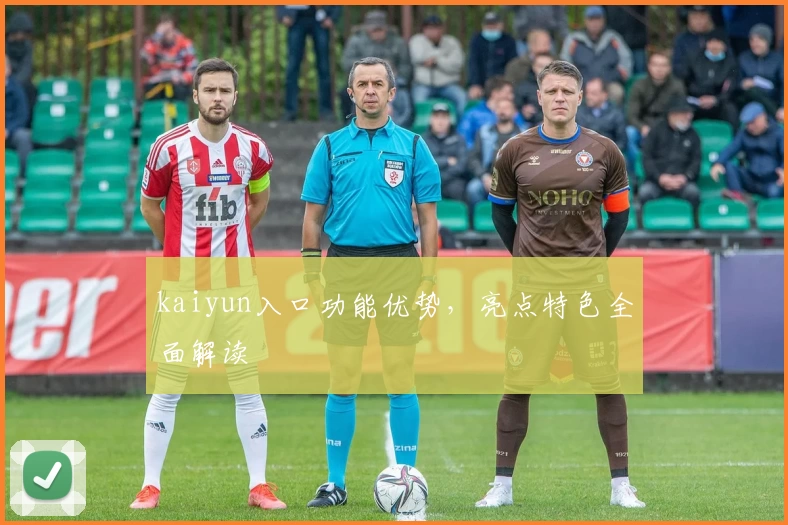 kaiyun入口功能优势，亮点特色全面解读